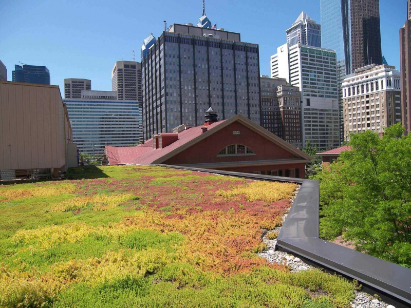 paysagiste-COTIGNAC-min_green-roof-portfolio-4